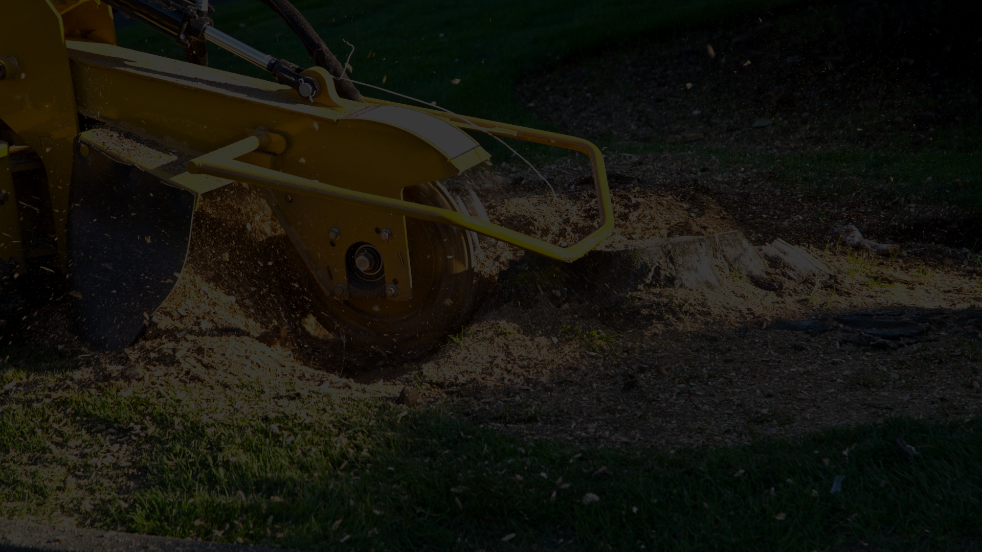 JP'S Tree Service gallery 6